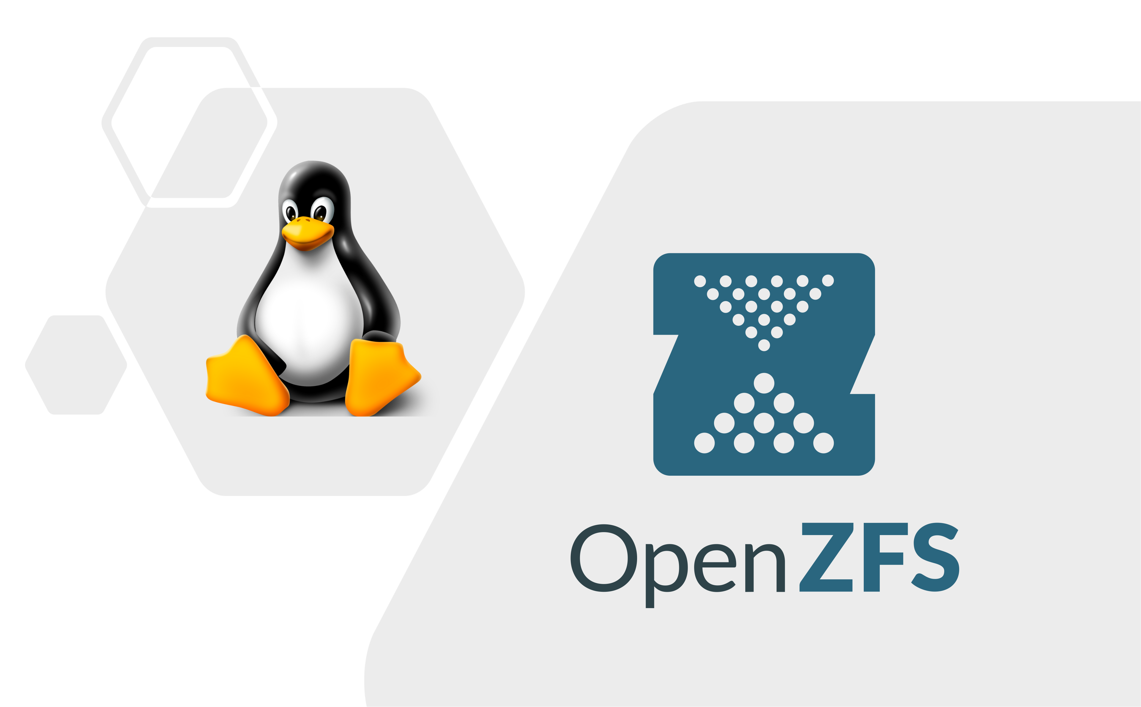 预算不足也可以玩 ZFS NAS