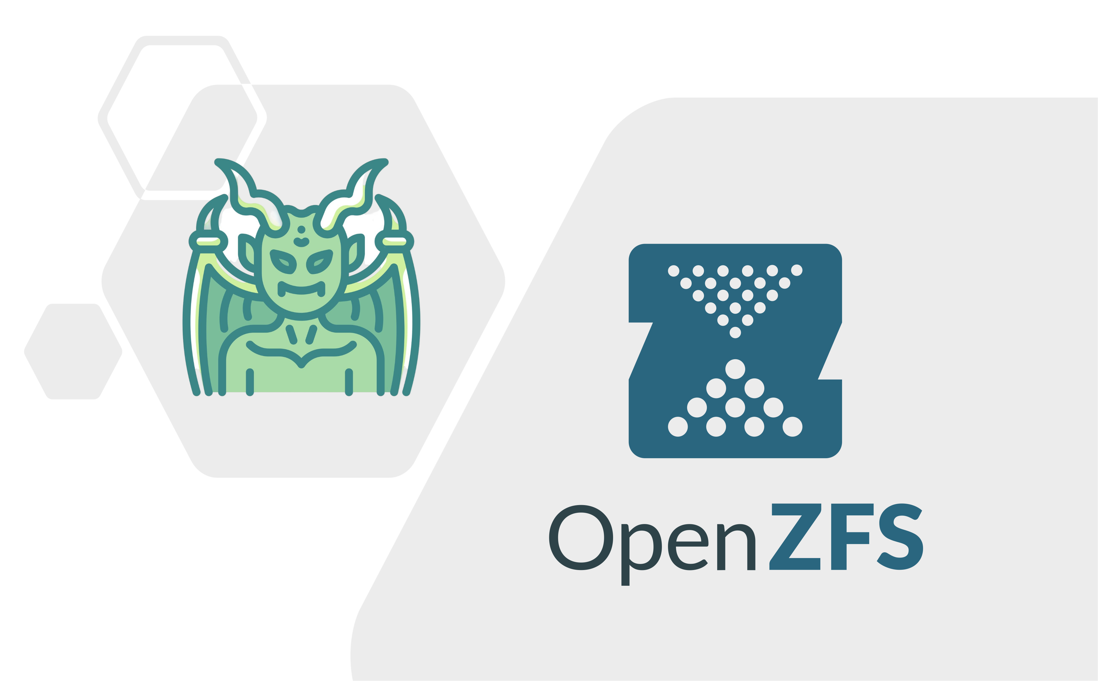 ZFS 灾后恢复指南
