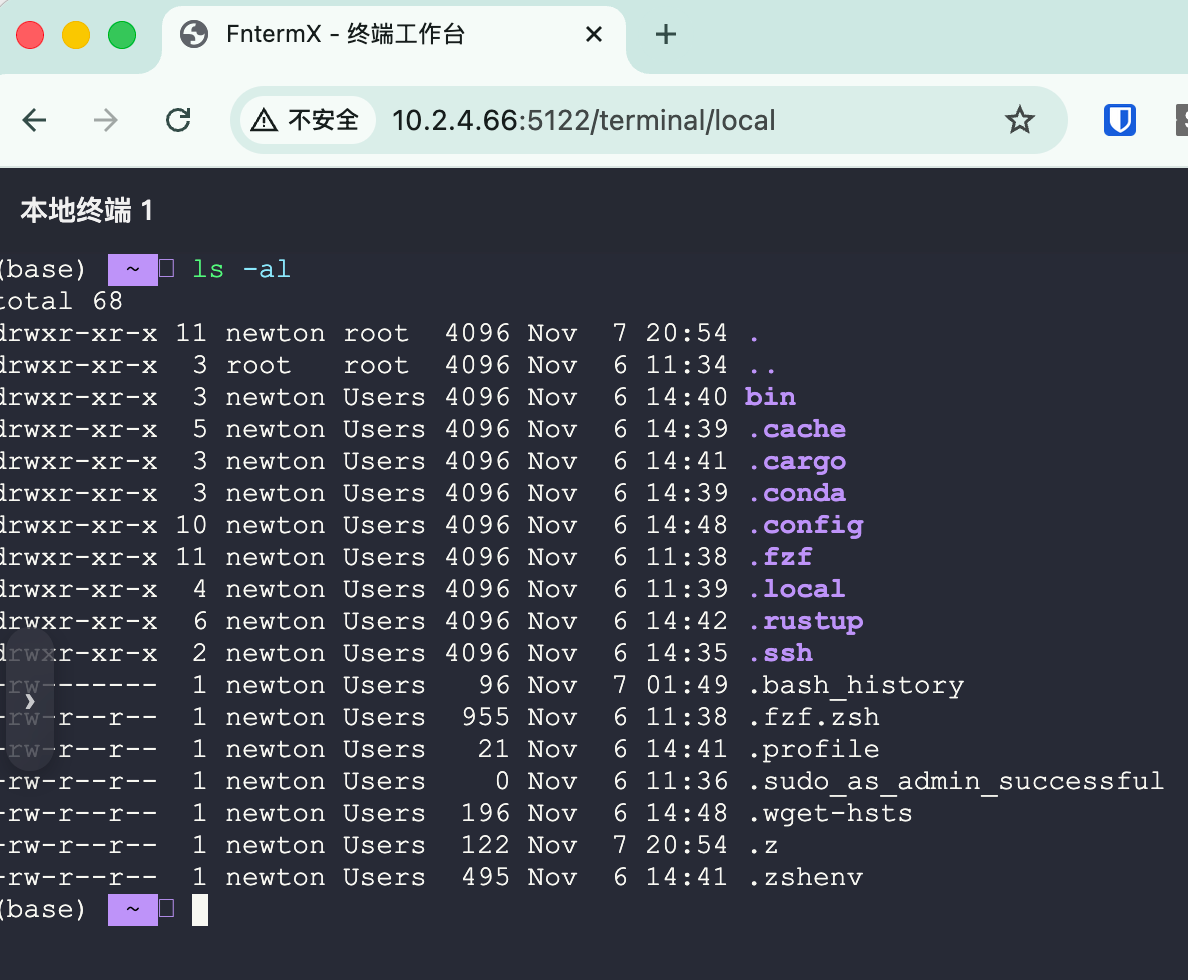 图 2. 可以直接使用 IP:port 的方式使用 FnTermX.