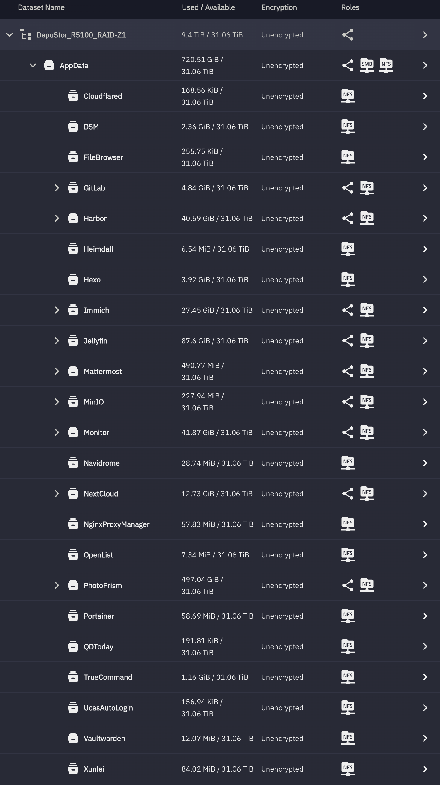 图 2. 我的 AppData 数据集存储了所有容器的运行时数据,而且每个容器有自己的专属 ZFS dataset,这允许我对某个容器的存储状态进行精细化管理。