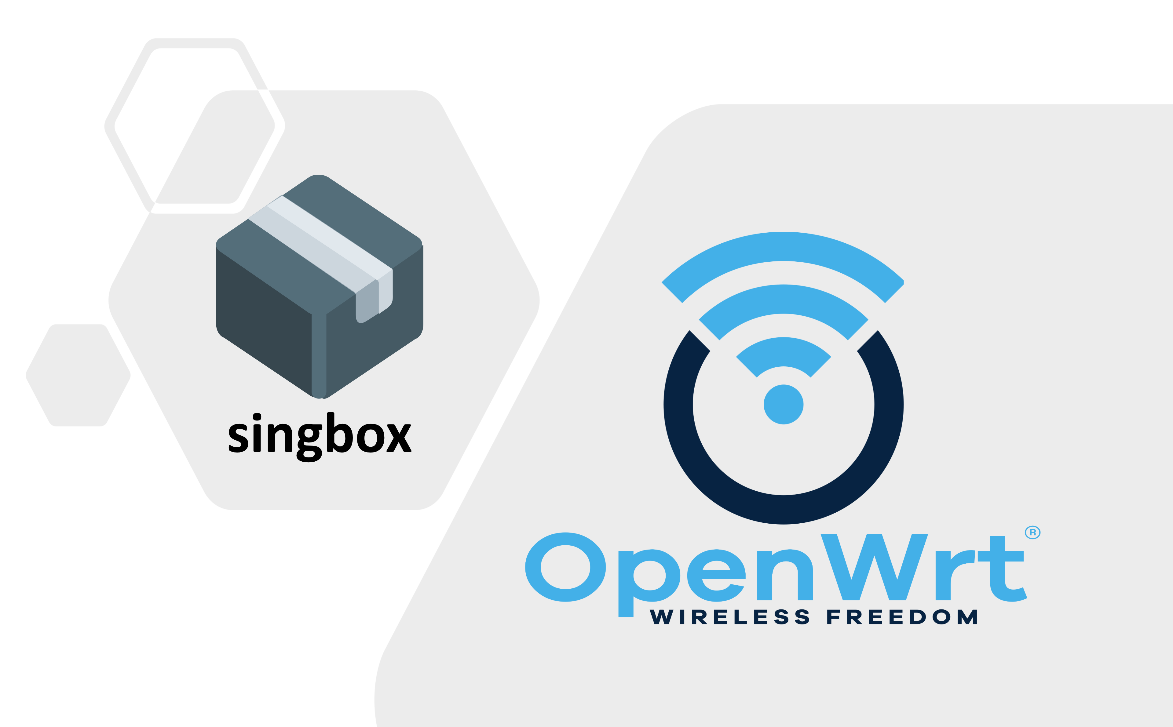 Singbox 代理实战